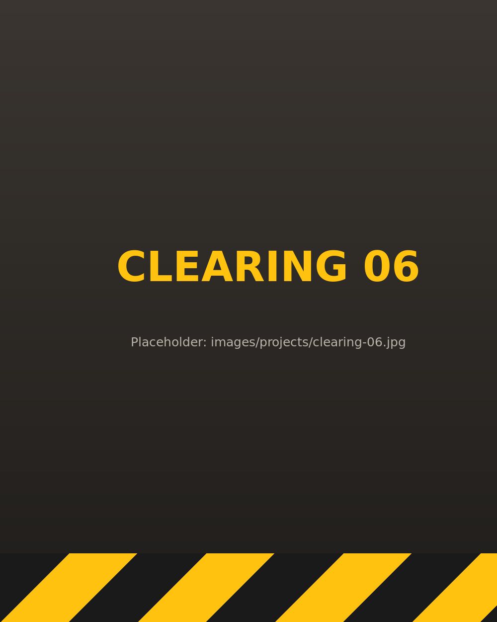 Land Clearing project, [city], FL